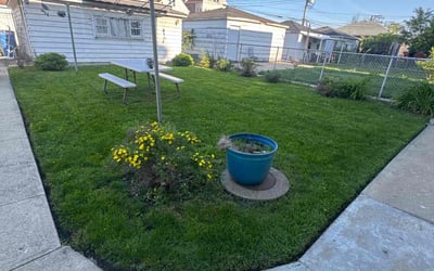 Photo of Lisa D.'s yard after getting lawn care in Elk Grove Village, IL