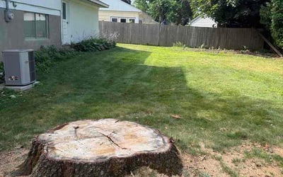 Photo of Easton D.'s yard after getting lawn care in Claremore, OK
