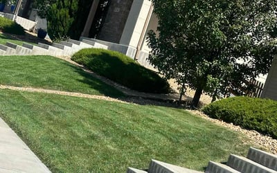 Photo of Unique G.'s yard after getting lawn care in Commerce City, CO