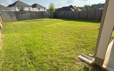 Photo of Tammy M.'s yard after getting lawn care in Donna, TX
