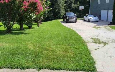 Photo of Doreen R.'s yard after getting lawn care in Fayetteville, GA