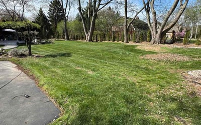 Photo of Meecha W.'s yard after getting lawn care in Bloomfield Hills, MI