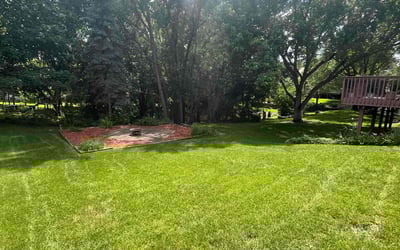 Photo of Steven N.'s yard after getting lawn care in Apple Valley, MN