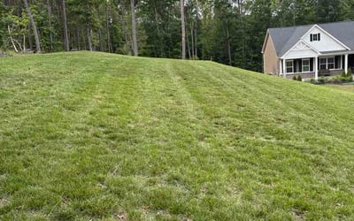 Photo of Traci S.'s yard after getting lawn care in Farmers Branch, TX