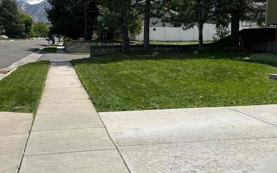 Photo of Benjamin Y.'s yard after getting lawn care in Cottonwood Heights, UT