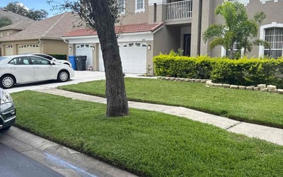 Photo of Wendy H.'s yard after getting lawn care in Tampa, FL