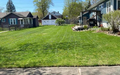 Photo of Kathryn M.'s yard after getting lawn care in Hobart, IN