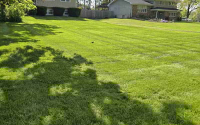 Photo of Jaedin M.'s yard after getting lawn care in West Chicago, IL