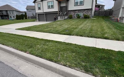 Photo of Cindy S.'s yard after getting lawn care in Lees Summit, MO