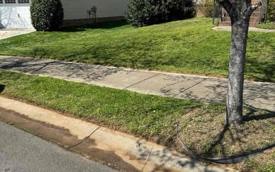 Photo of Earline G.'s yard after getting lawn care in Belmont, NC