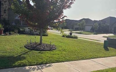 Photo of Connor G.'s yard after getting lawn care in West Des Moines, IA