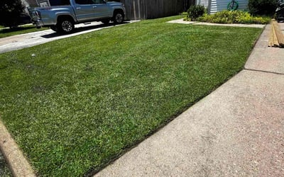 Photo of Angelle L.'s yard after getting lawn care in Abingdon, VA