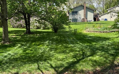 Photo of Robin C.'s yard after getting lawn care in Woodridge, IL