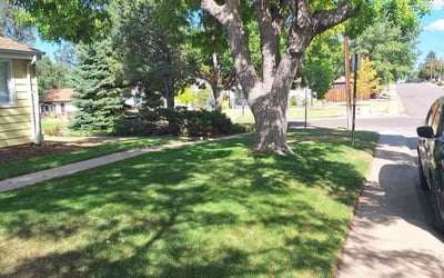 Photo of Hyun Chu C.'s yard after getting lawn care in Denver, CO