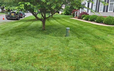 Photo of Steph C.'s yard after getting lawn care in Mechanicsville, VA