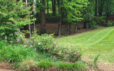 Photo of Jordan D.'s yard after getting lawn care in Cartersville, GA