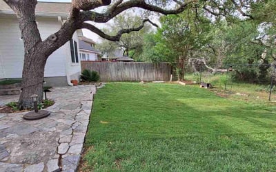 Photo of Wolfgang S.'s yard after getting lawn care in San Antonio, TX