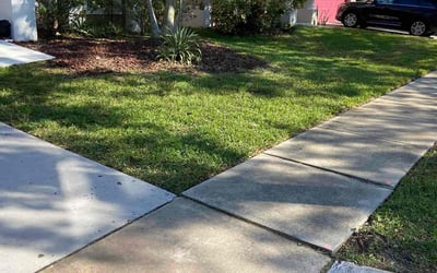 Photo of Chris D.'s yard after getting lawn care in Warrenton, VA