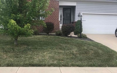 Photo of Paul S.'s yard after getting lawn care in Tipp City, OH