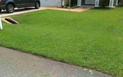 Photo of Rachel D.'s yard after getting lawn care in Niceville, FL
