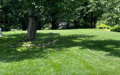 Photo of Eti I.'s yard after getting lawn care in Asheville, NC