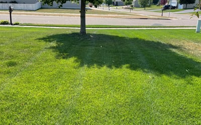 Photo of Claire S.'s yard after getting lawn care in Hudson, WI