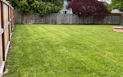 Photo of John A.'s yard after getting lawn care in Spanaway, WA