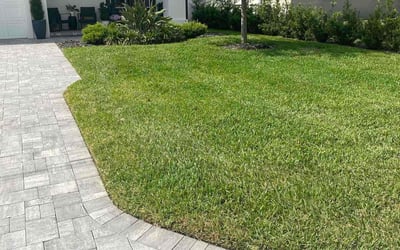 Photo of Ross M.'s yard after getting lawn care in Tampa, FL