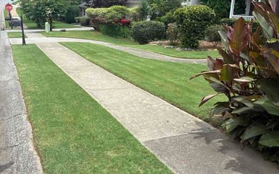 Photo of Jolanta T.'s yard after getting lawn care in Hillsborough, NJ