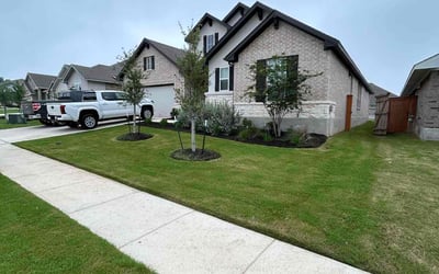 Photo of Adrienne G.'s yard after getting lawn care in New Braunfels, TX