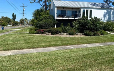 Photo of Rachel F.'s yard after getting lawn care in Dothan, AL