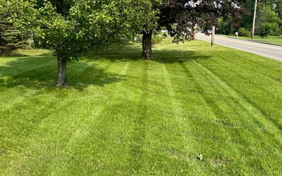 Photo of Jonnie S.'s yard after getting lawn care in Quakertown, PA