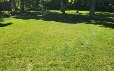 Photo of Murr E.'s yard after getting lawn care in Brookfield, WI