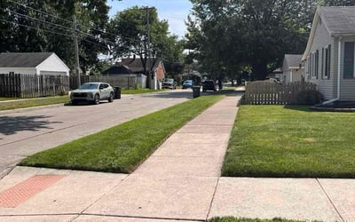 Photo of Wren S.'s yard after getting lawn care in Clifton Heights, PA