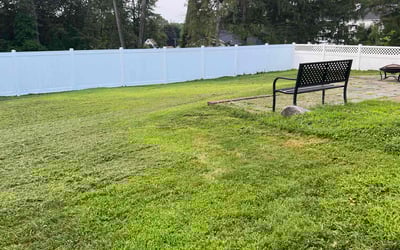 Photo of Jeffrey P.'s yard after getting lawn care in Elmhurst, NY