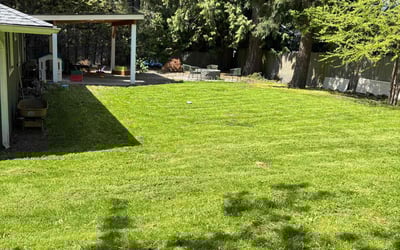 Photo of Thomas A.'s yard after getting lawn care in Kent, WA