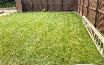 Photo of Lynne D.'s yard after getting lawn care in Charles Town, WV
