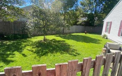 Photo of Scott E.'s yard after getting lawn care in Chesapeake, VA