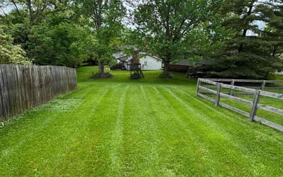 Photo of Sandra G.'s yard after getting lawn care in Eden Prairie, MN