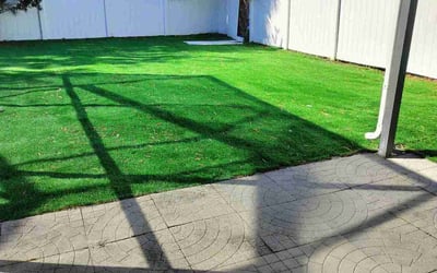 Photo of Catherine B.'s yard after getting lawn care in St. Petersburg, FL