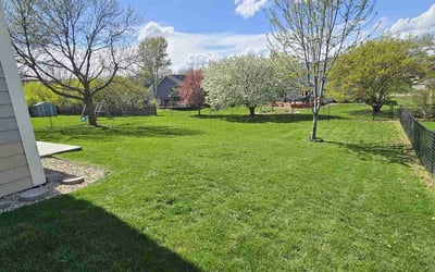 Photo of Lisa M.'s yard after getting lawn care in Lakeville, MN