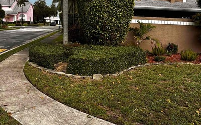 Photo of Sol M.'s yard after getting lawn care in Southport, NC