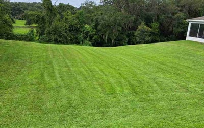 Photo of Dmitry D.'s yard after getting lawn care in Carmel, IN