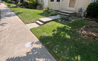 Photo of Angela J.'s yard after getting lawn care in Catonsville, MD