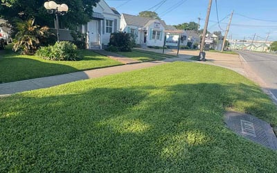 Photo of Annie P.'s yard after getting lawn care in Burnsville, MN