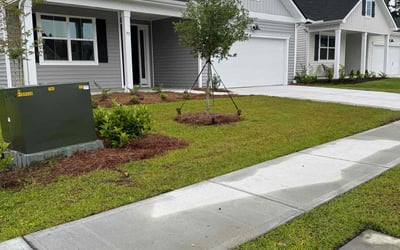 Photo of Connie L.'s yard after getting lawn care in Bluffton, SC
