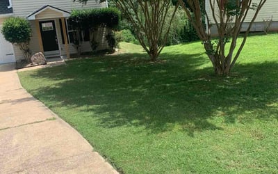 Photo of Vina W.'s yard after getting lawn care in Villa Rica, GA