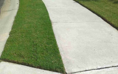 Photo of Allison H.'s yard after getting lawn care in Monroe, NC