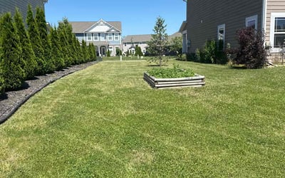 Photo of Tammy S.'s yard after getting lawn care in Greenwood, IN