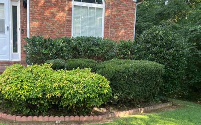 Photo of Craig B.'s yard after getting lawn care in Hawthorne, NJ